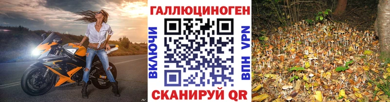 Галлюциногенные грибы GOLDEN TEACHER Теберда