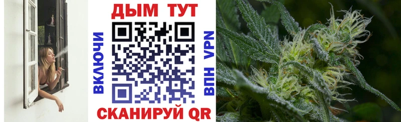 МАРИХУАНА White Widow  где найти   Теберда 